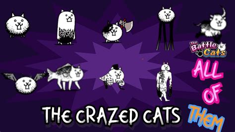 crazed cats|all crazed cats.